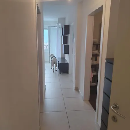 Apartment Sunny With Phenomenal View In Center Lugano